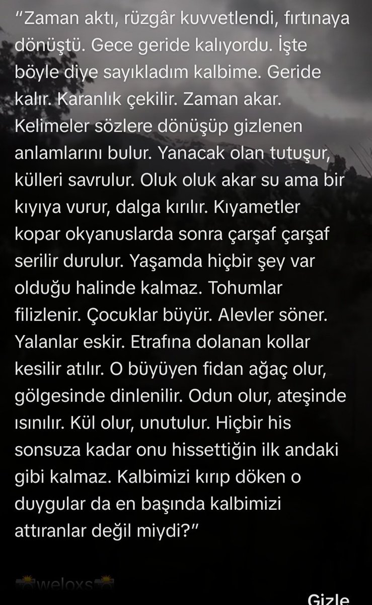 aziz yetiştiren (@azizyts21) on Twitter photo 