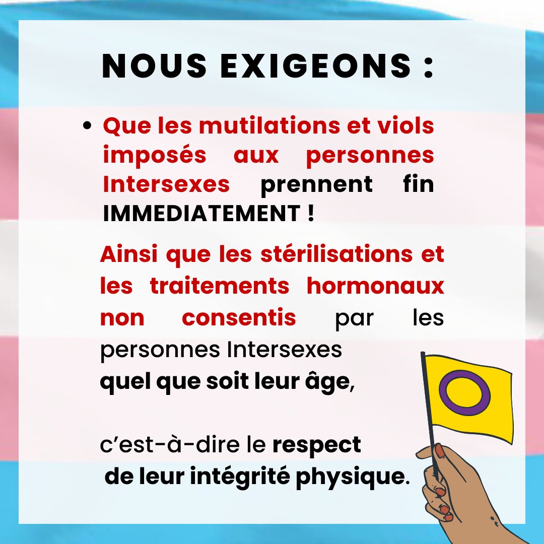 Queer'Amann tweet media