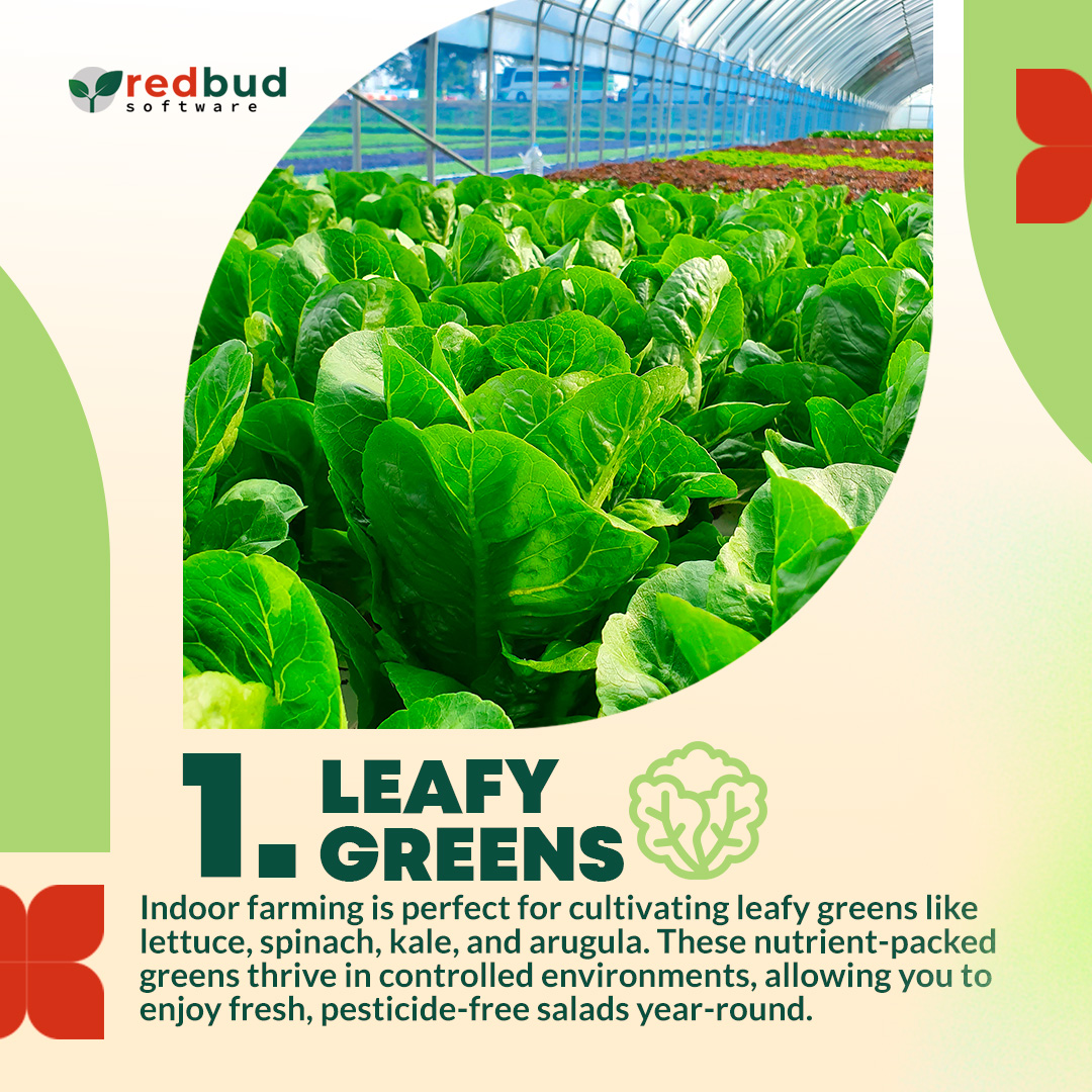RedBudSaas's tweet photo. Let's get growing indoors! 
Today, we unveil the Most Valuable Plants for #IndoorFarming 🌱 https://t.co/5RaUbFTx3O