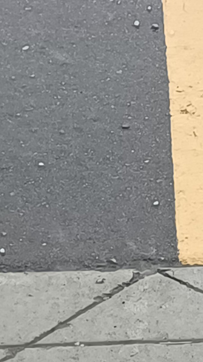 Hailing in Palmerston #onstorm