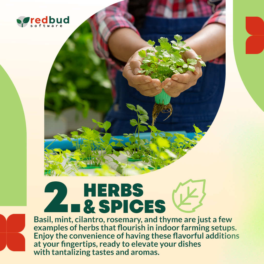 RedBudSaas's tweet photo. Let's get growing indoors! 
Today, we unveil the Most Valuable Plants for #IndoorFarming 🌱 https://t.co/5RaUbFTx3O