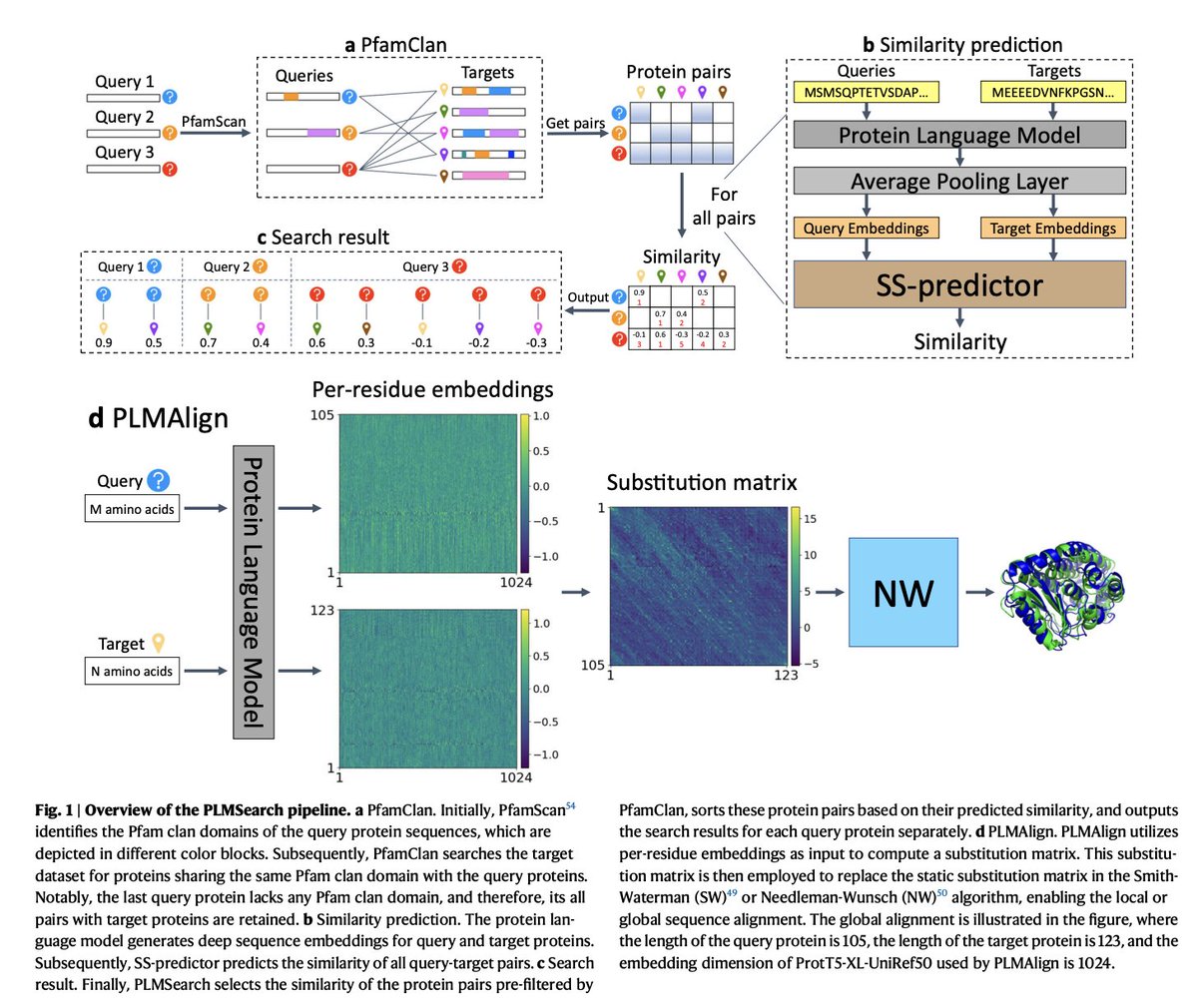 BioDecoded's tweet image. PLMSearch: Protein language model powers accurate and fast sequence search for remote homology
nature.com/articles/s4146…

#Bioinformatics