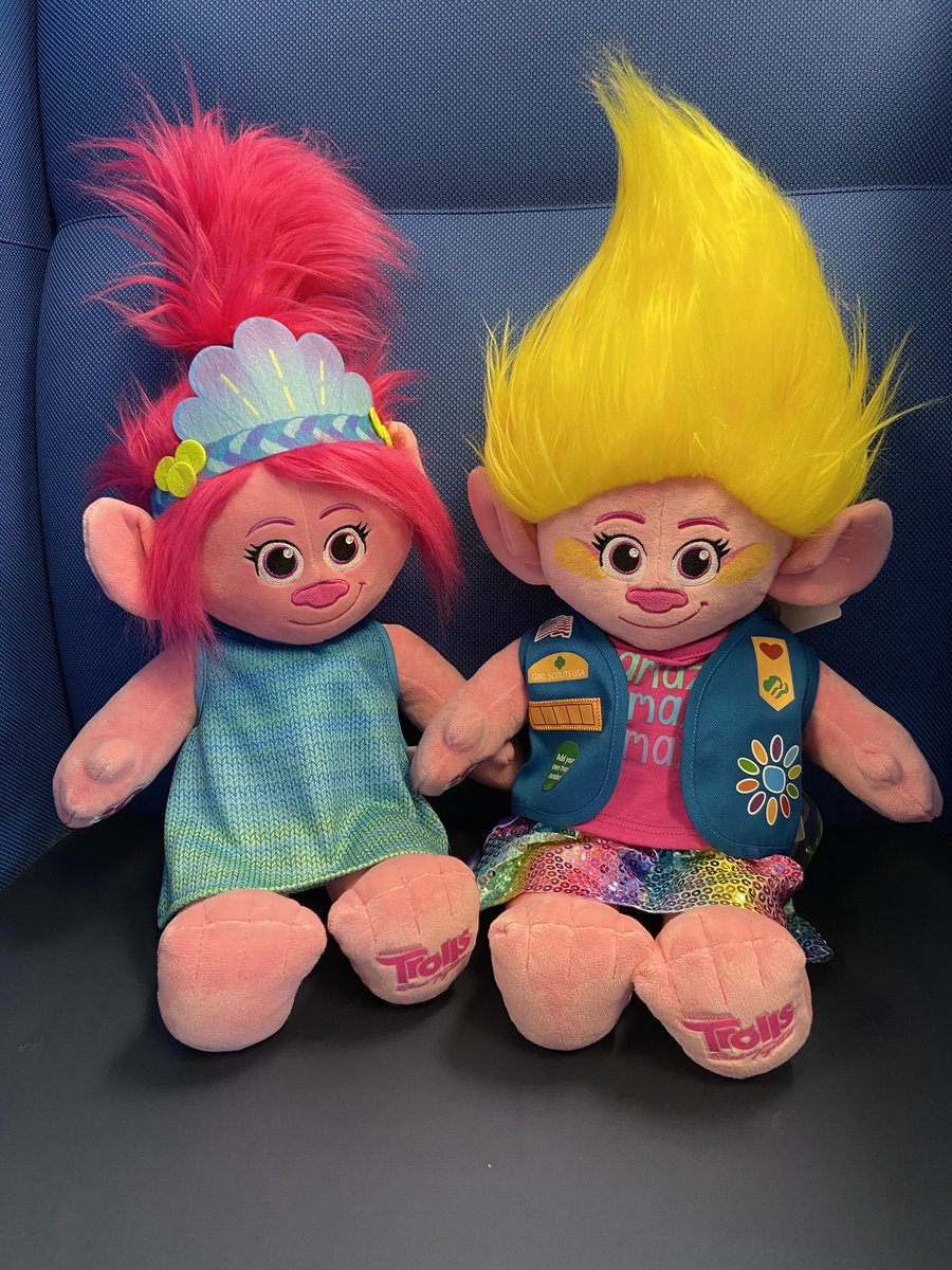 Girl Scouts of Northern Illinois tweet media