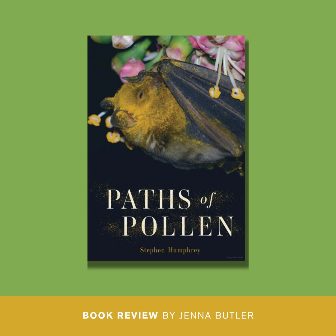 'For many Albertans, pollen is little more than the yellow haze in the air during early summer, the bane of those with allergies. But 'pollen is more than just a passive traveller...''

Review: albertaviews.ca/paths-of-pollen

#abpoli #ableg #cdnpoli #alberta #books #bees #yyc #yeg