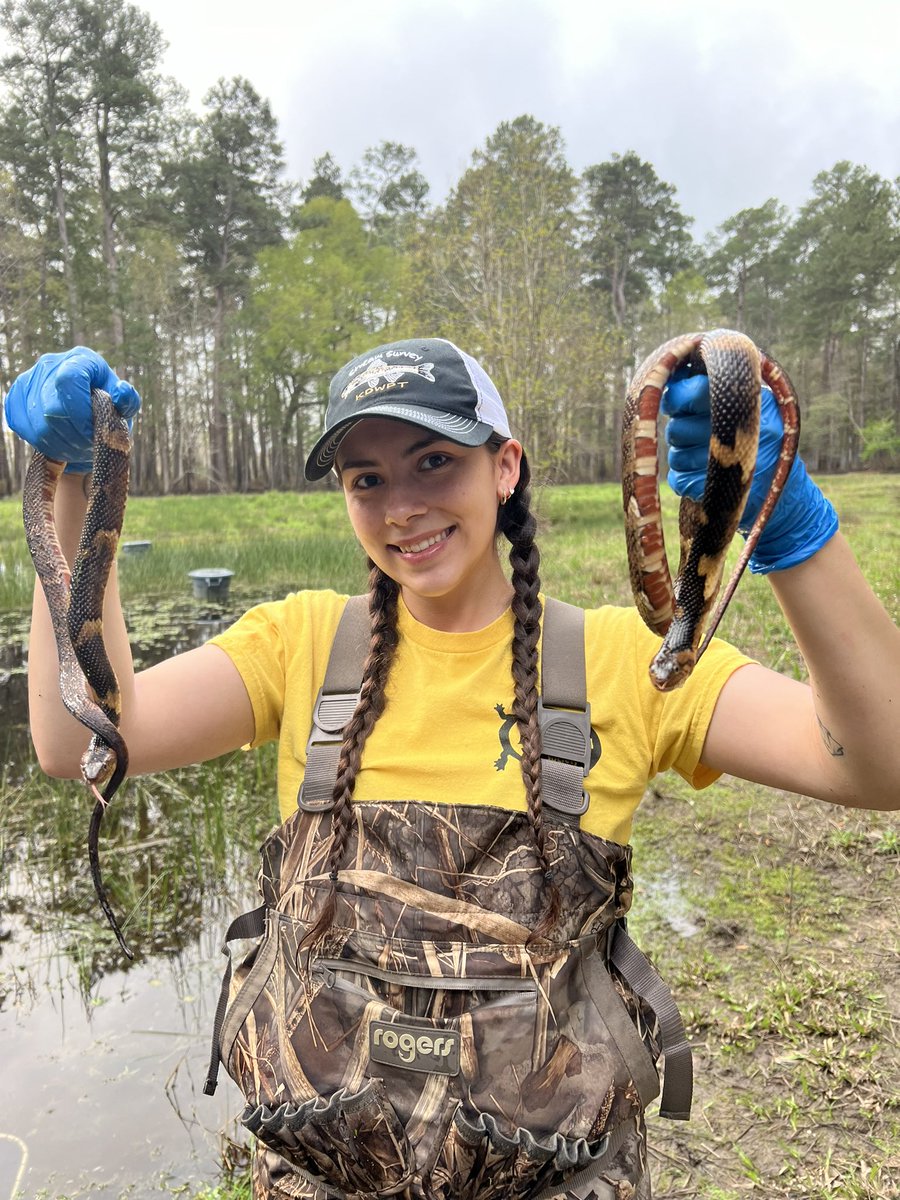 Water snake Wednesday 👀🐍