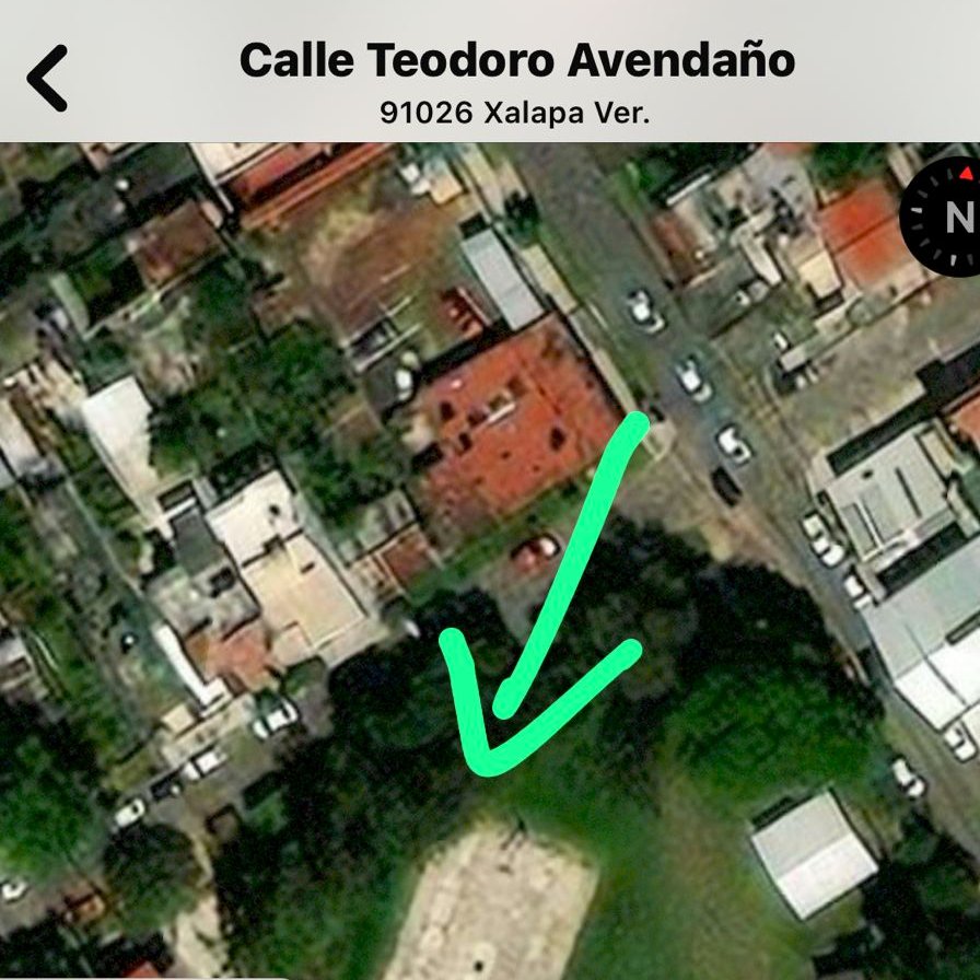Oye @ahuedricardo, nos está cargando la fregada por la falta de árboles en #Xalapa, y en la Primaria 'Mártires 28 de agosto' se están dando el lujo de tirar árboles, como si estuviera lloviendo un montón y como si sobraran. ¿Por qué y con el permiso de quién?