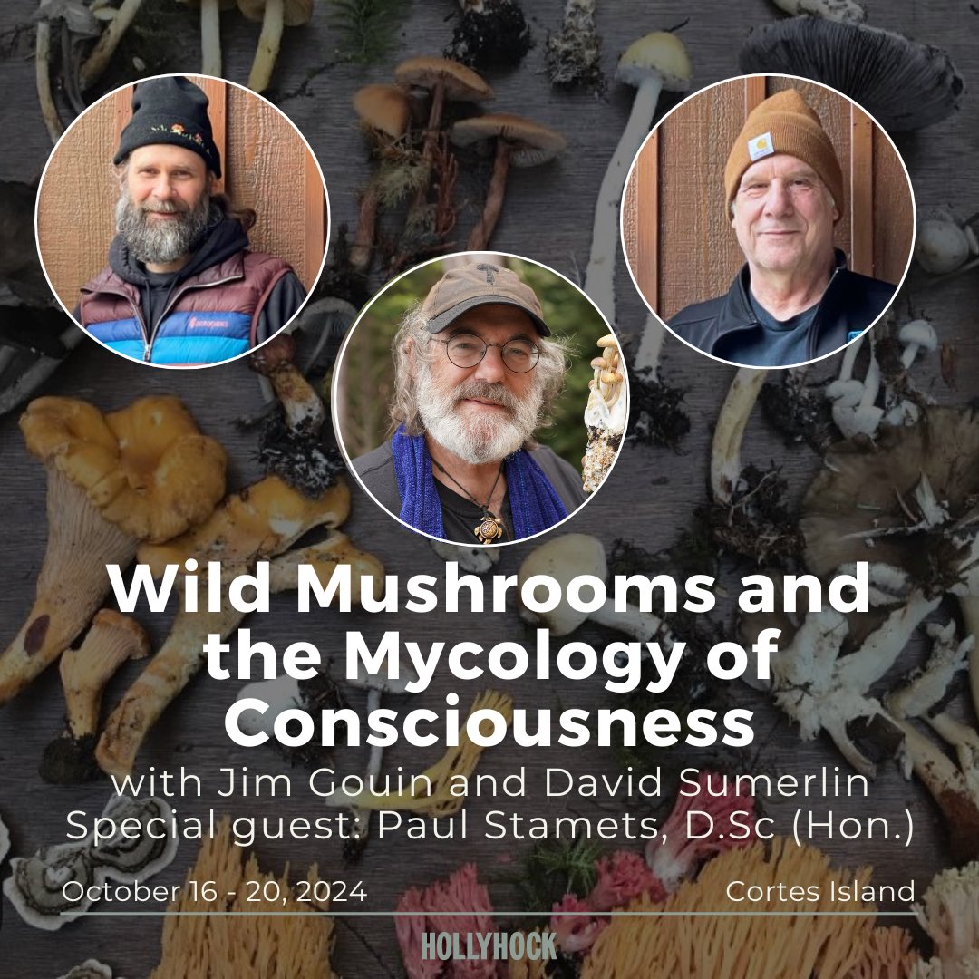 Registration is now OPEN for Wild Mushrooms and the Mycology of Consciousness! Join myself, Jim Gouin, and David Sumerlin, at the Hollyhock campus on Cortes Island from October 16-20, 2024. Spaces are limited and will fill up fast, secure your spot today: