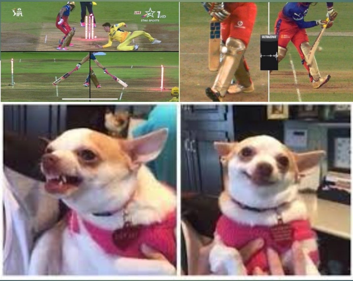 KORMA iz a beach!
#RCBvsRR