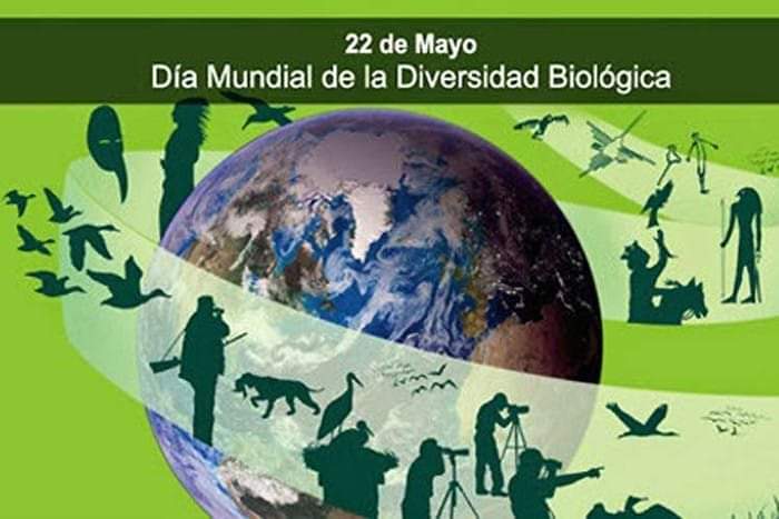 22 de mayo: Día Internacional de la Diversidad Biológica.   
#CubaPorLaVida 
#MatancerosEnVictoria
<a href="/CaridadPoey/">Marieta Poey Caridad</a> 
<a href="/mariofsabines/">Mario Sabines Lorenzo</a> 
<a href="/RuauGarcia/">Felix Garcia Ruau</a> 
<a href="/DiazCanelB/">Miguel Díaz-Canel Bermúdez</a>