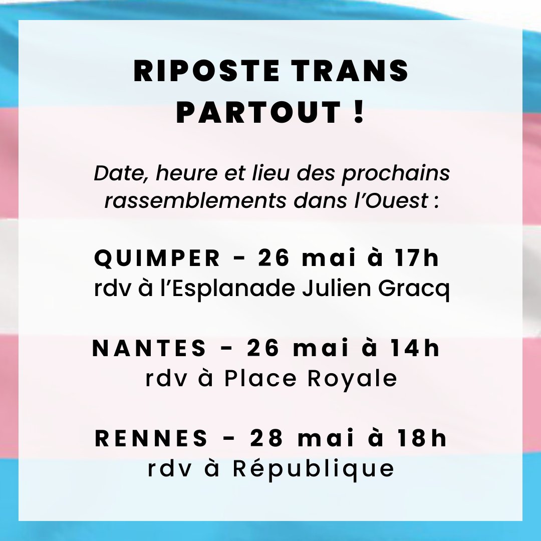 Queer'Amann tweet media