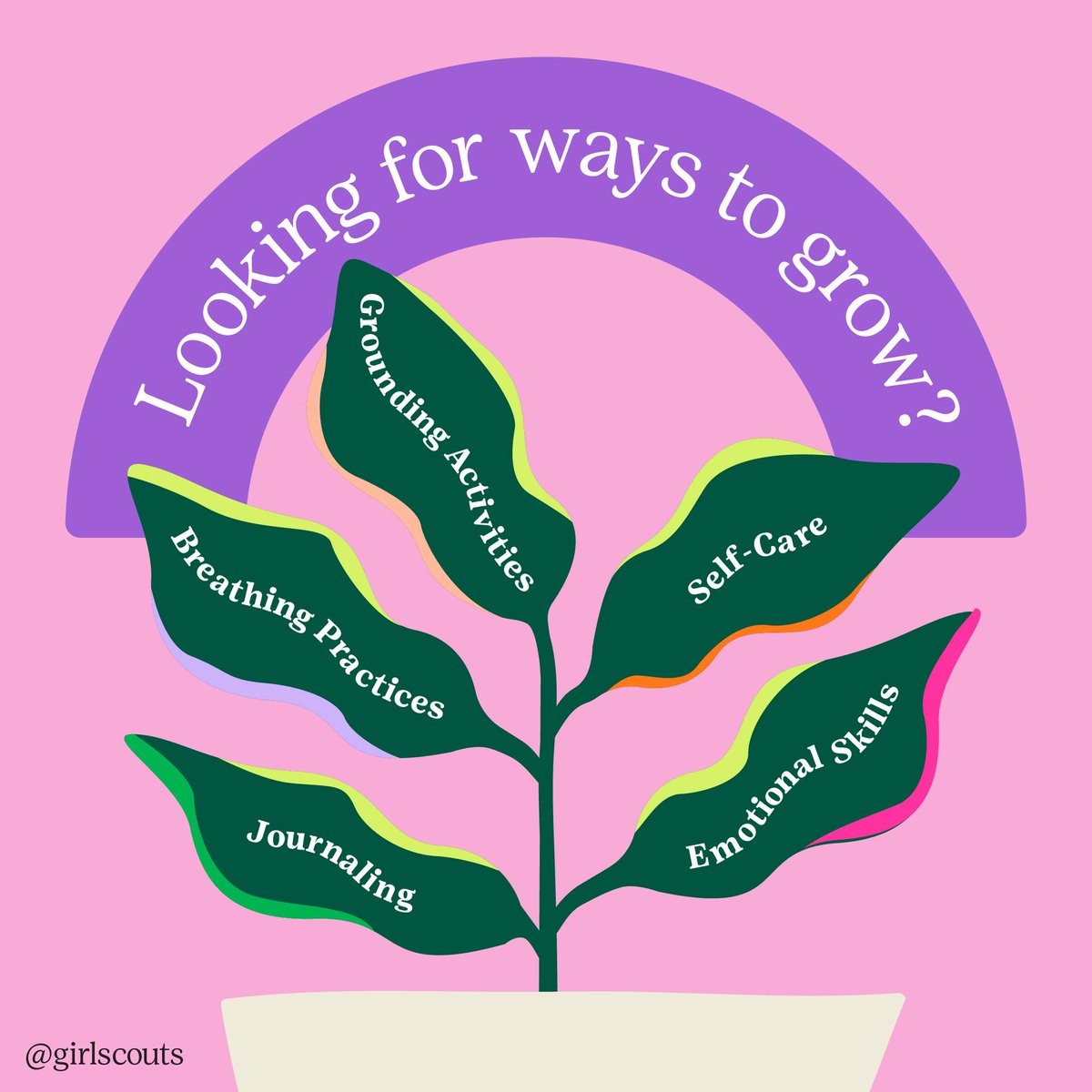 Girl Scouts of Northern Illinois tweet media