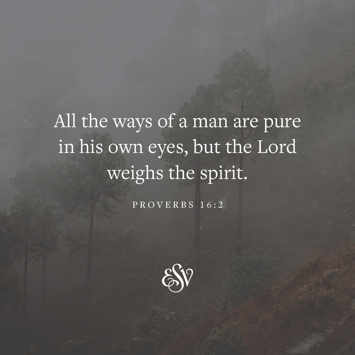 All the ways of a man are pure in his own eyes, but the Lord weighs the spirit. 
—Proverbs 16:2 ESV.org

#Verseoftheday #ESV #Scripturememoryverse #Bible