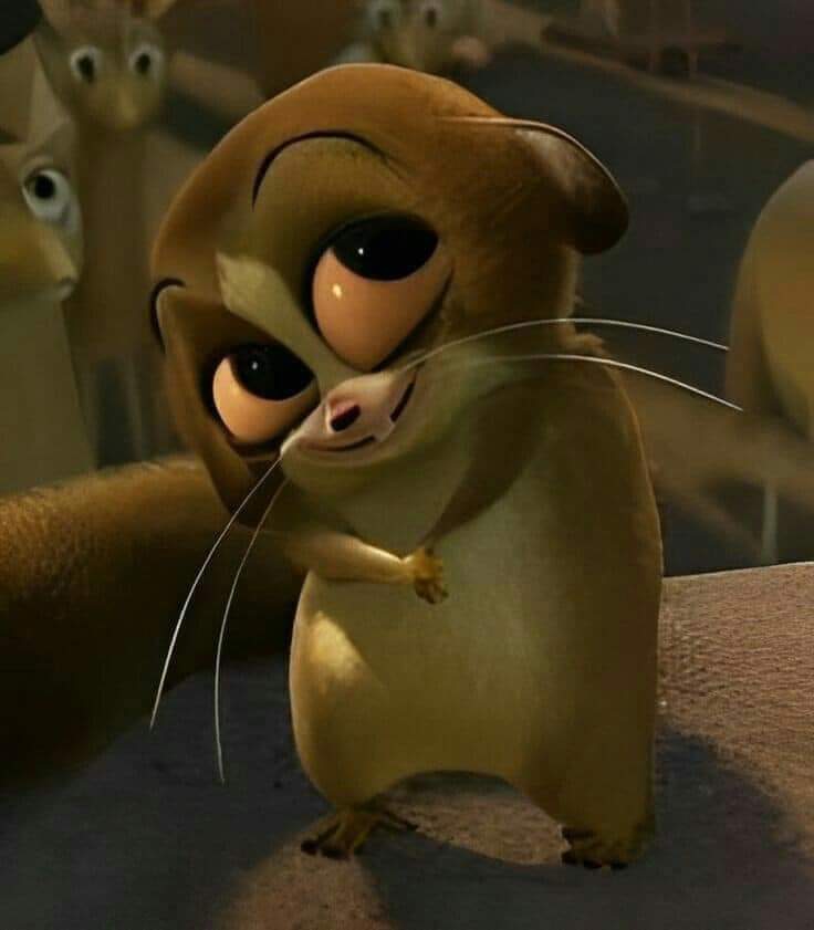 En_jupiter_'s tweet image. la cara que hago antes de pedir algo