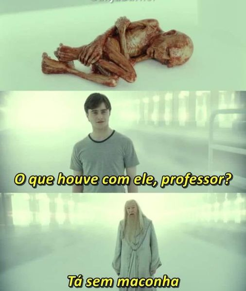 Chapo Do Chong (@chapodochong) on Twitter photo 