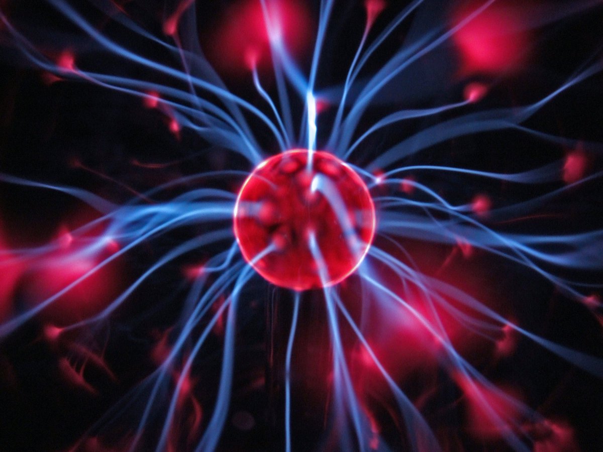 Phenotypeca tweet media