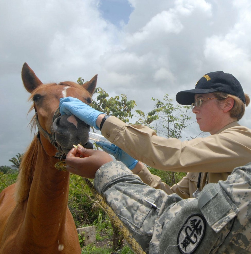 “As a #veterinarian, I embrace public health from a One Health approach. The health of people is reliant on a healthy environment & healthy animal populations with whom we share the environment.” – CDR Catherine Rockwell #USPHS Read her #OfficerSpotlight: bit.ly/4bi5TkA