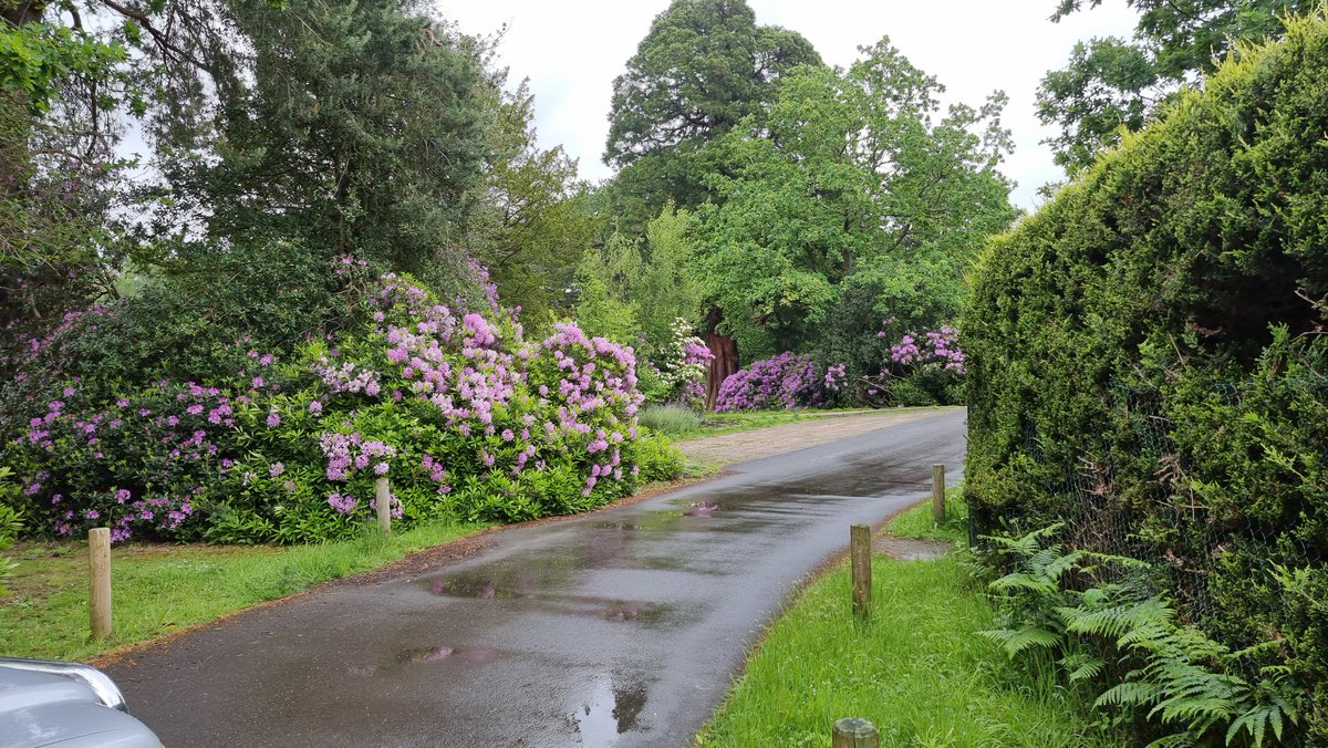 Another rainy day in the Cemetery. Beautiful colours.