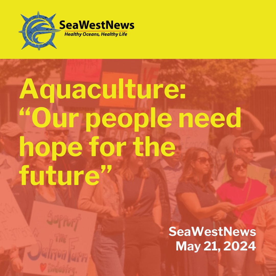 Aquaculture supply and support companies, which sustain the livelihoods of thousands of British Columbians, have called for a six-year salmon farm licence renewals. Read more: seawestnews.com/aquaculture-ou… #LoveCDNSalmon #cdnpoli