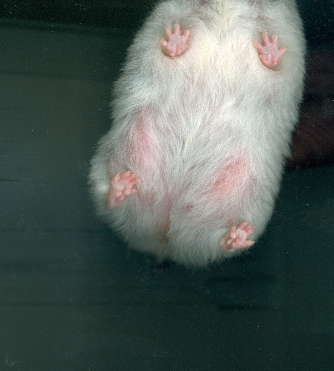 Patīk atrast šādas bildes. Frīda 💔