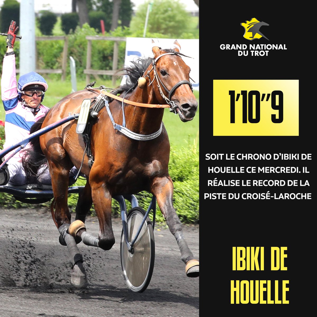 👊🏼 Un record à la clé pour Ibiki de Houelle qui inflige une défaite à Ino du Lupin !