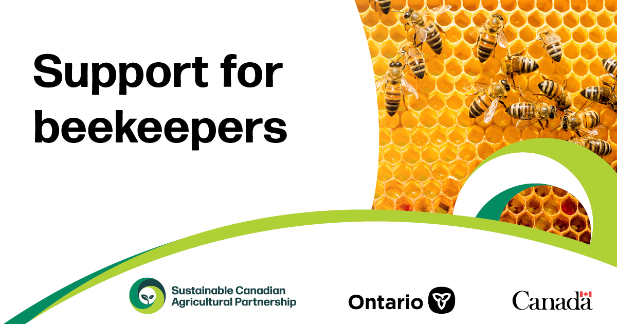 The governments of Canada & Ontario are adding an additional $1 million to the Honey Bee Health Initiative to help support Ontario beekeepers in growing their apiaries & making them more resilient to pests & overwinter losses. 🐝 news.ontario.ca/en/release/100… #onpoli #OntAg #honeybee