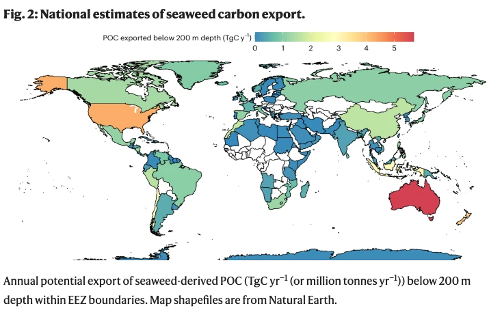Worth reading: First global estimate of carbon export from #seaweed forests to deep #ocean. 'On average, 15% of seaweed production is estimated to be exported across the continental shelf, which equates to 56 TgC yr−1.' nature.com/articles/s4156…