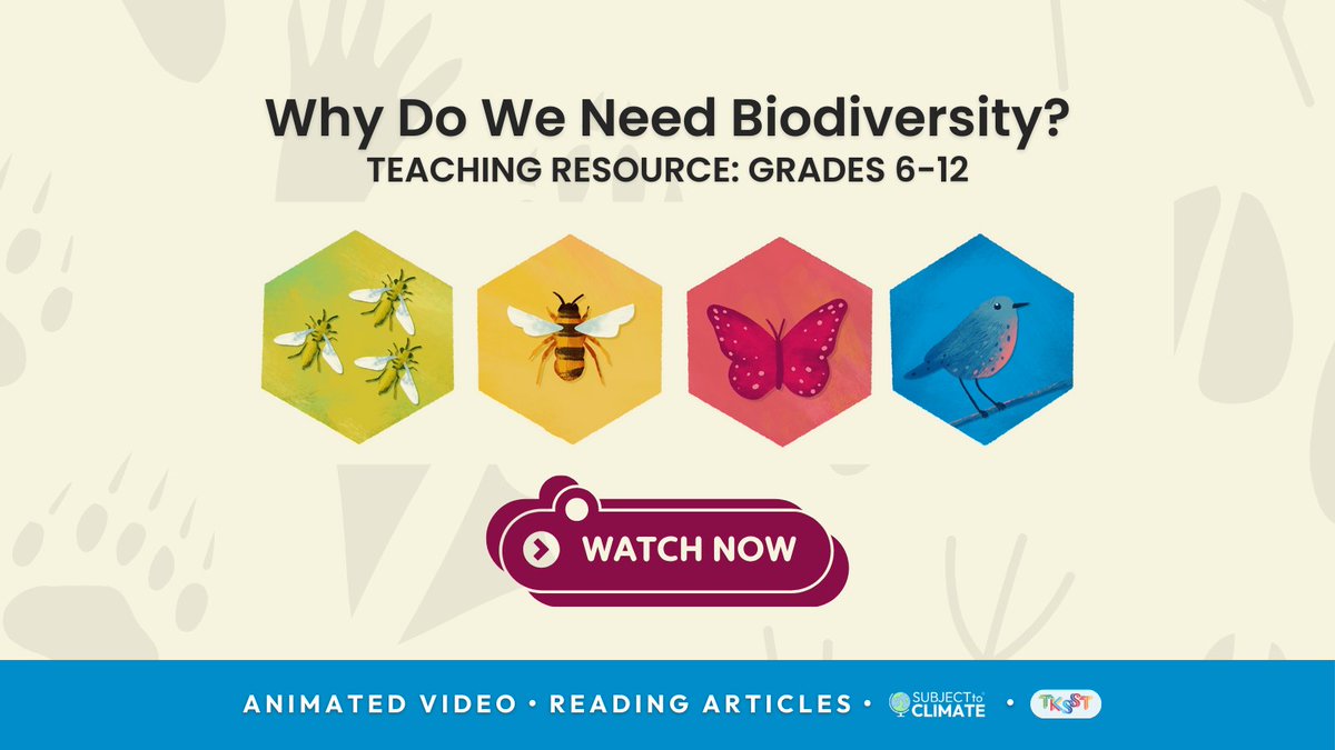 subjecttoclimat's tweet image. Mark International Day of Biodiversity with this resource for 6-12th graders! 🌿🐝
Explore videos and articles to learn how human activities impact biodiversity and why diverse ecosystems matter.
#EducatorsForChange

Explore more through this👉bit.ly/3QcNo8D