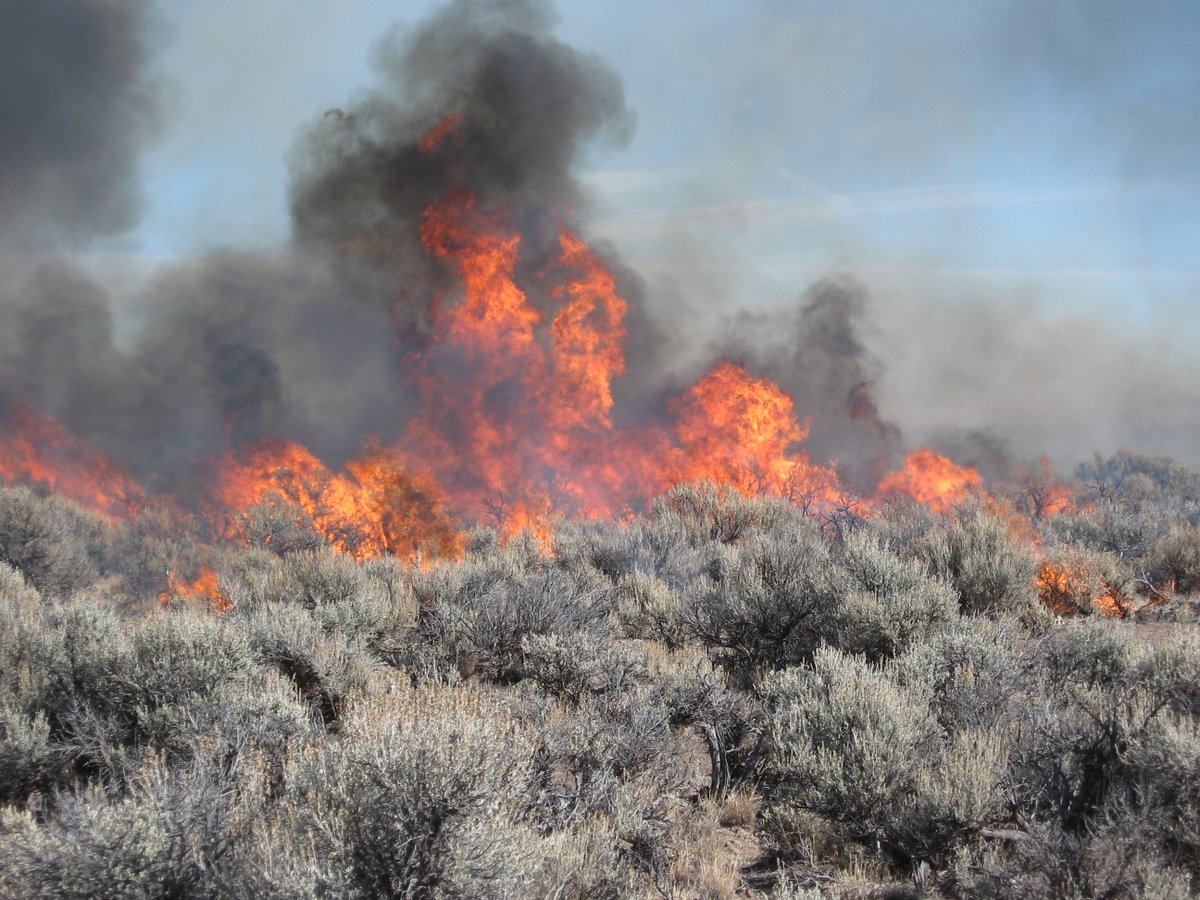 USGS's tweet image. Relationship status: It&apos;s complicated

🔥🏜️ 🌦️Fire, ecosystems &amp;amp; climate have an interwoven relationship. Each piece influences &amp;amp; is influenced by the others. When one changes, the other two are affected.

Learn more: ow.ly/6THz50RPoRe

#WildfireAwarenessMonth #FireScience