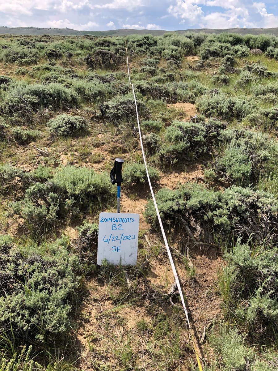 USGS's tweet image. Relationship status: It&apos;s complicated

🔥🏜️ 🌦️Fire, ecosystems &amp;amp; climate have an interwoven relationship. Each piece influences &amp;amp; is influenced by the others. When one changes, the other two are affected.

Learn more: ow.ly/6THz50RPoRe

#WildfireAwarenessMonth #FireScience