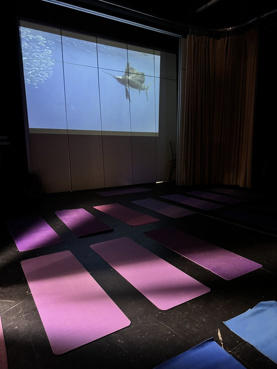 Mrs. Dulhanty tweet media