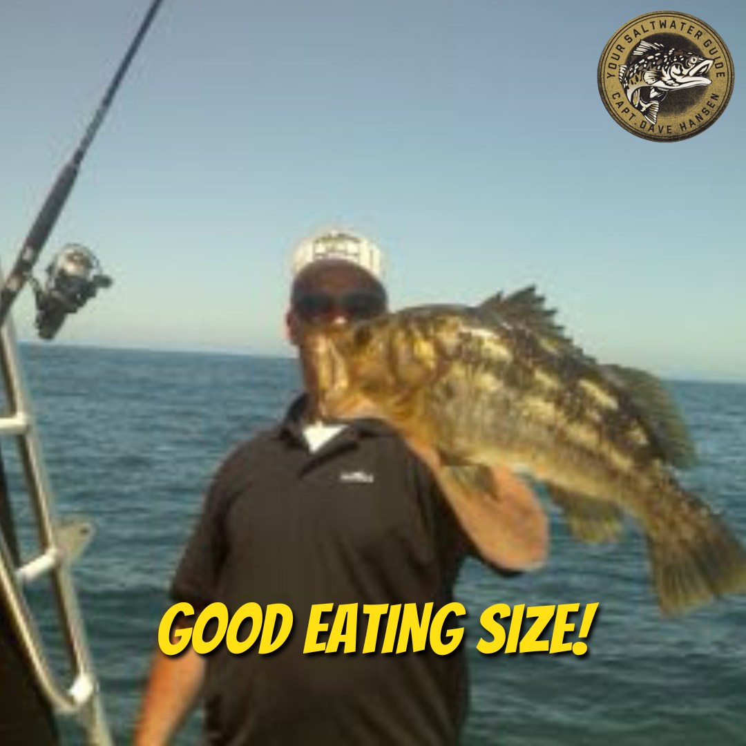 Good eating size! #namethisfish #namethefish #fish #fishingpic #fishingdaily #fishingtime #fishingaddict #sportfishing #fishing #yoursaltwaterguide