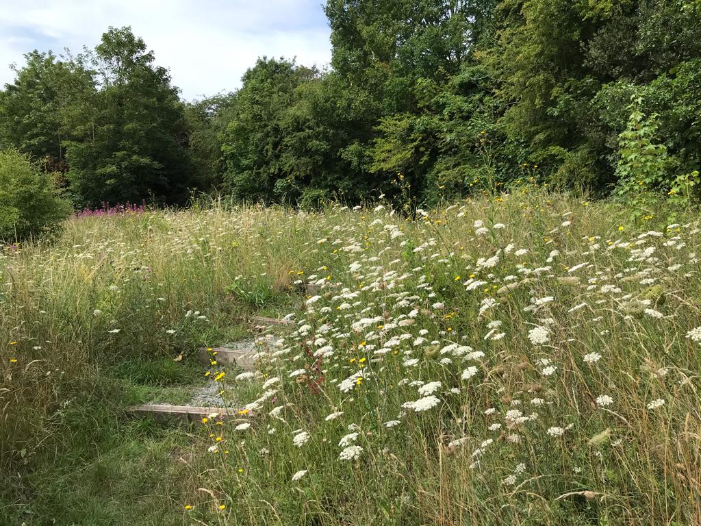 💚 As part of our commitment to biodiversity, we have meadow areas and 'no mow zones ' across the borough. 🌼 Support #NoMowMay and leave your garden growing - this helps promote vital habitats for our wildlife. #BioDiversityDay #BePartofthePlan ow.ly/vl2U50RQI0Z