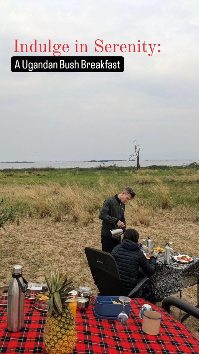 OsmanSomeguy256's tweet photo. Indulge in the wildly luxurious with African Journeys Uganda icon safari experiences in Uganda.

Revel in unmatched indulgence in the most exclusive African destinations and delve into authentic safari experiences immersed in unparalleled splendor. https://t.co/FyTL3wDGli