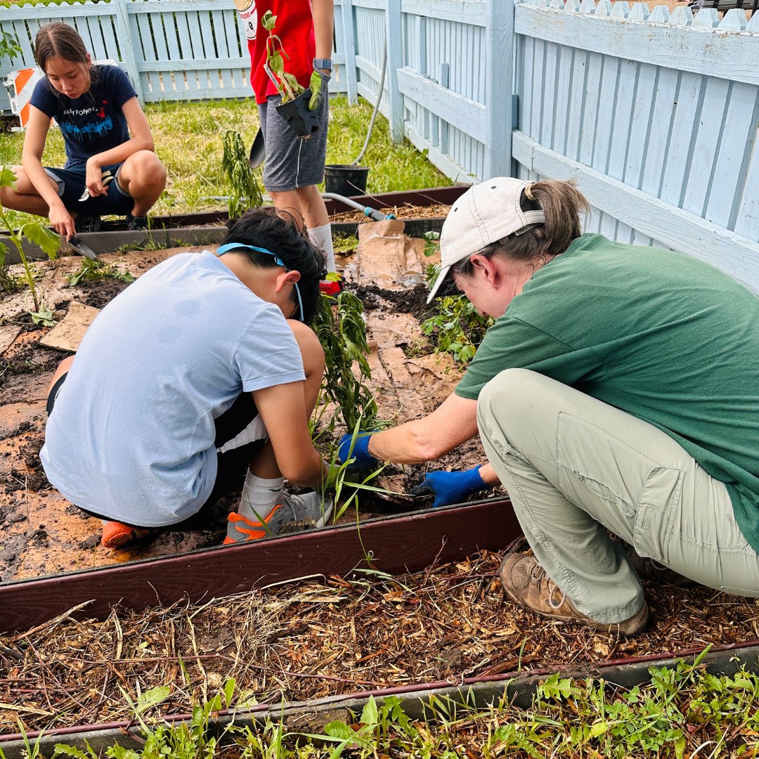 D54schools's tweet photo. The @HHooverhawks Prairie Partners Environmental Club had their final meeting for 2023-24, planting 75 native species &amp; doubling Hoover's prairie size! TY Schaumburg Community Garden Club &amp; @meadmustangs54 mentors for your help! Want to start a club? Contact @54TomPfeifer54 🌱🌻 https://t.co/SViwxOgi3V