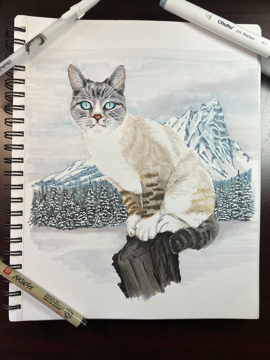 Aside from sketches and mucking about, this is my second real attempt at a full drawing with Ohuhu markers. This is from a photo of Boone, one of our 'snow' barn cats. I tried to fathom what a 'snow cat' would be dreaming about on a hot May day. #ohuhu #art #drawing