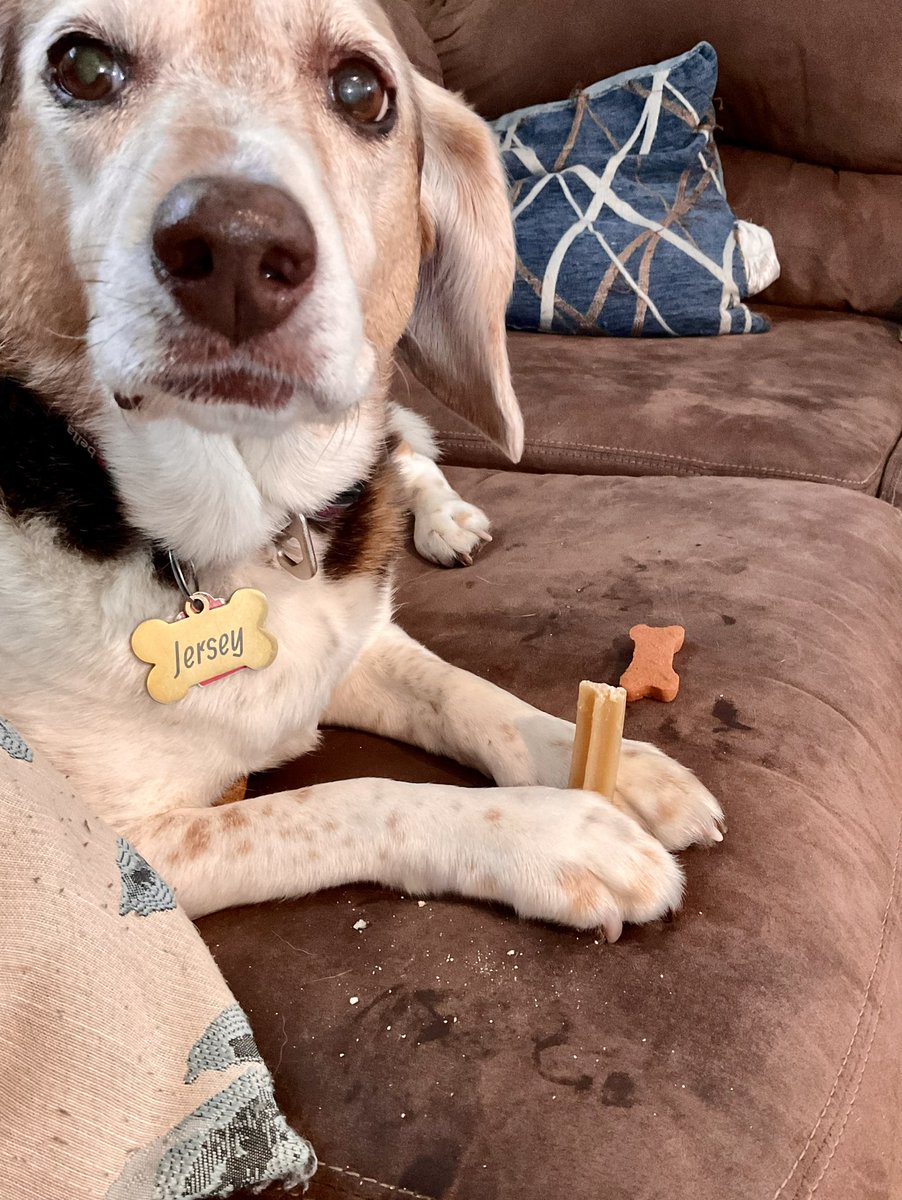 Hey dad, what do you mean not to make a mess on the couch with my bones? I am just trying to enjoy my breakfast here….