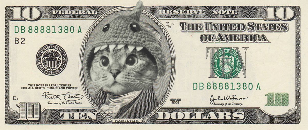 @cobie @SharkCatSolana $SC cat is a mfk shark Cobie 🦈🐱👀