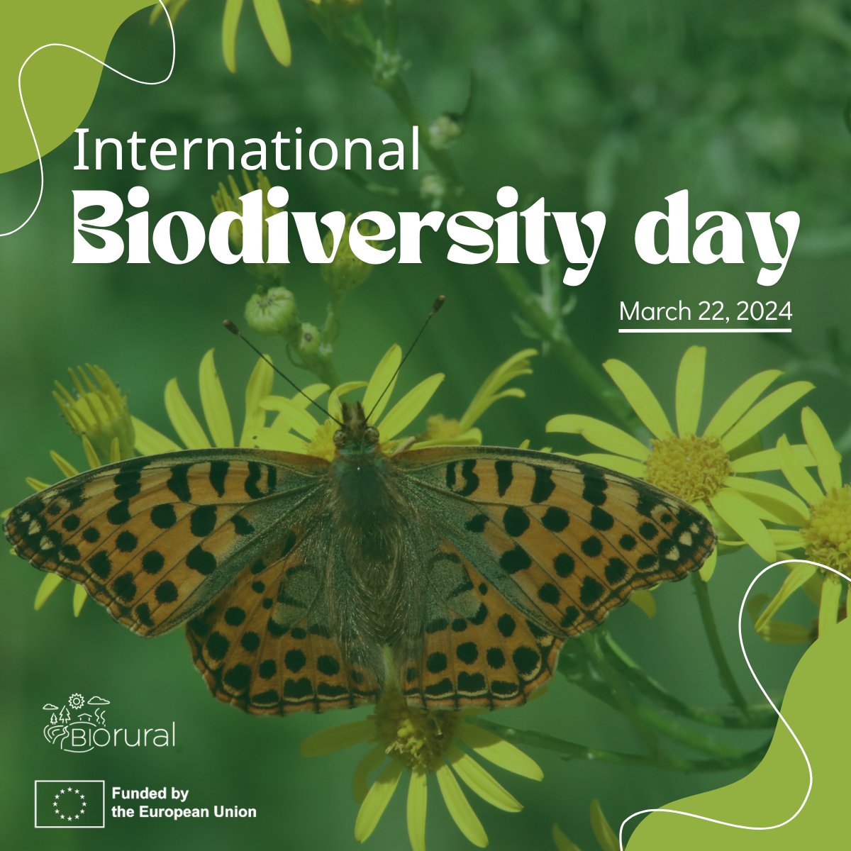 📌Today marks the International Day for Biological Diversity, under the theme be #PartOfThePlan, highlighting everyone's role in protecting and sustaining the #biodiversity of our planet! 

Happy Biodiversity Day! 🦋

#bioeconomy #circulareconomy #horizoneurope