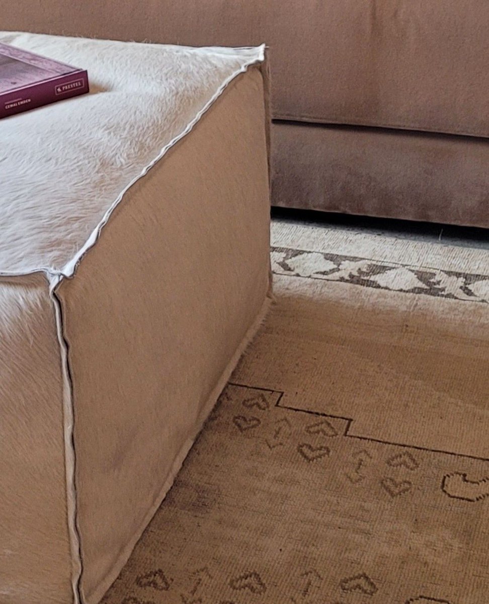 LauraZBDesign's tweet photo. Modern... Elegant... Casual... Hide Funiture and Area Rugs also pass the test for Fur-friendly, Family-friendly design. Trust me... it passes the test for muddy paws, spilled milk... and red wine...  I HIGHTLY recommend avoiding these kinds of "tests" and clean up right away! https://t.co/LvaHkDO2pe