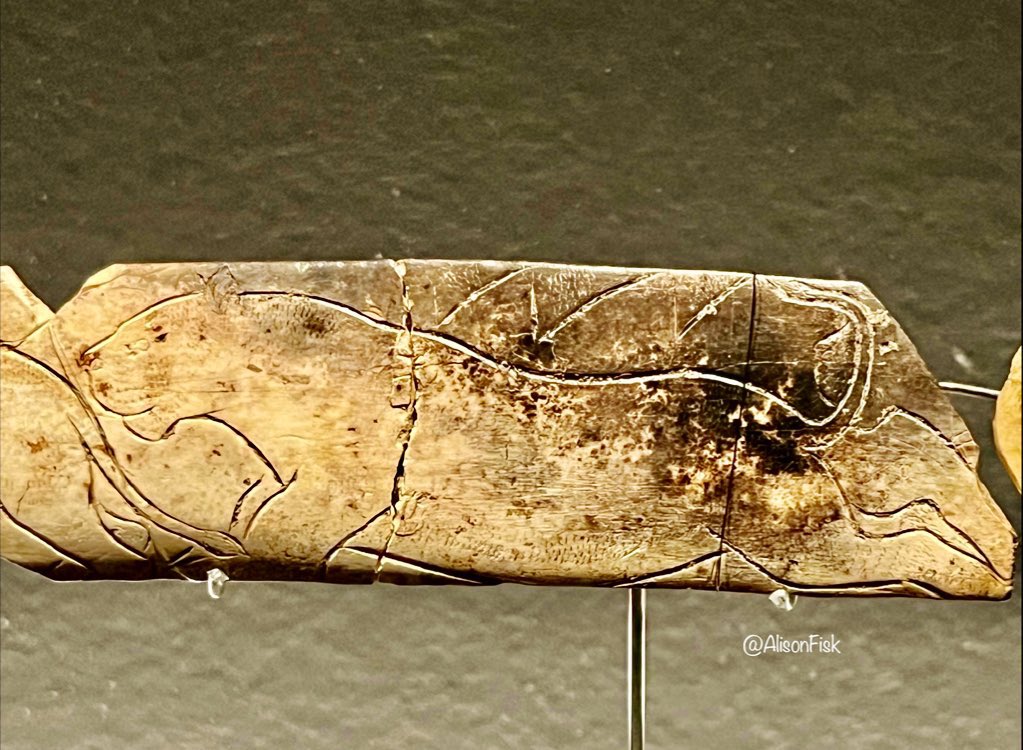 Amazing prehistoric art! 🤩

A dynamic depiction of a running cave lion (with a hint of a smile?!)

Detail from a lion frieze engraved on a fragment of bone around 17,000-14,000 years ago.

Excavated from La Vache Cave, Ariège, France. Musée d’Archéologie Nationale, Saint