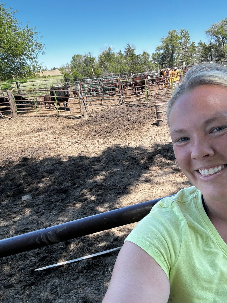 My office view this morning. What’s your for the day on the farm? Comment below 👇 
#SocialMediaInfluencer
#AgInfluencer
#CattleRanch
#CattleLife
#TractorLife
#FarmingLife
#FarmersOfInstagram
#WomenInAg
#FemaleFarmer
#WomenInFarming
#RancherLife
#BlondeFarmer
#CowgirlLife