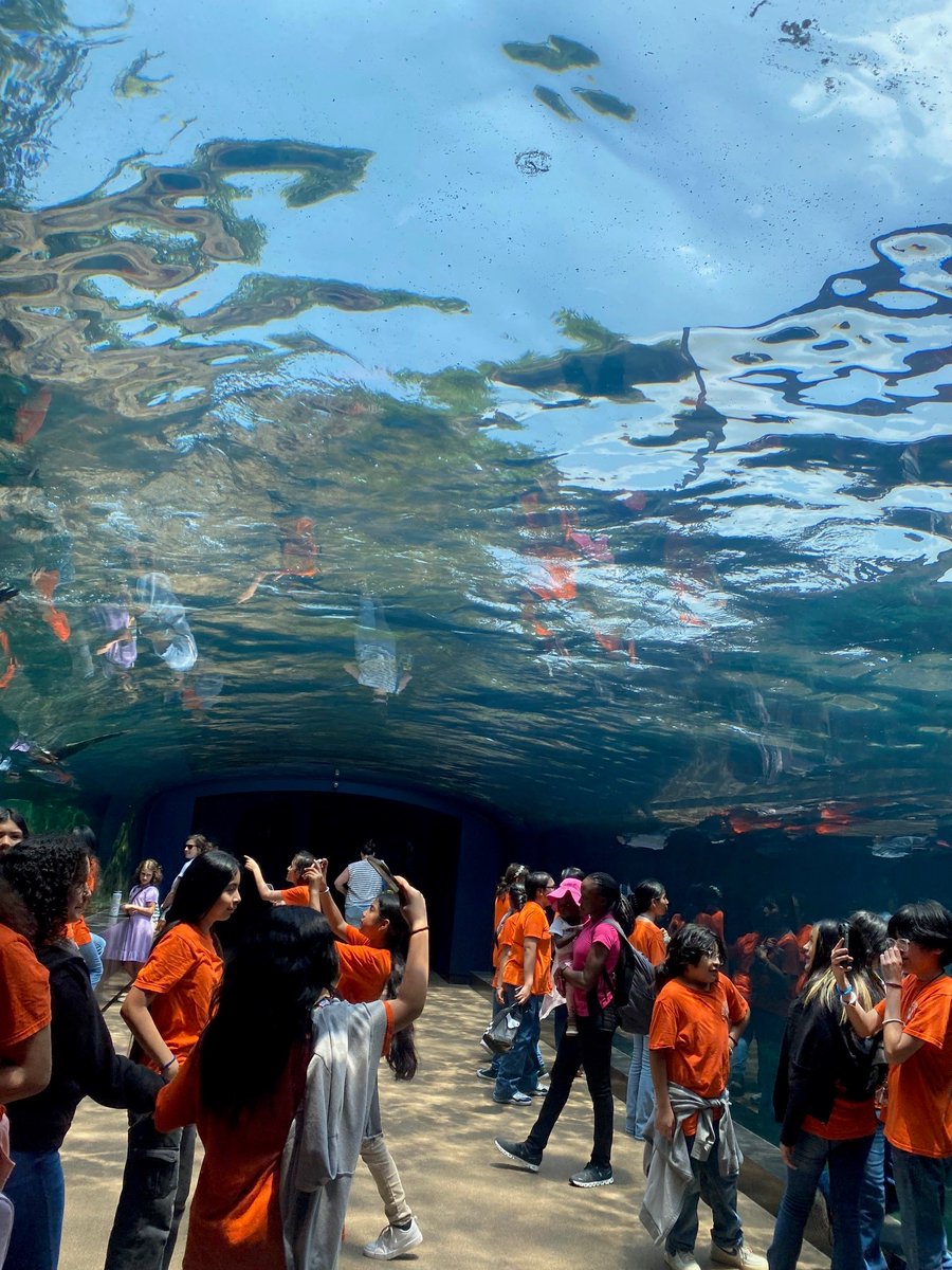 Fonville Middle School (@fonville_ms) on Twitter photo Houston Zoo field trip for our 6th graders yesterday- 5/21/24. They had an incredible experience going behind the scenes, due to our partnership with Houston Zoo as a Saving Wildlife School. #fonvilleSTEM #fonvillefalcons #academyforSTEMprofessionals <a href="/houstonzoo/">Houston Zoo</a> <a href="/houstonzoo/">Houston Zoo</a> Houston Zoo field trip for our 6th graders yesterday- 5/21/24. They had an incredible experience going behind the scenes, due to our partnership with Houston Zoo as a Saving Wildlife School. #fonvilleSTEM #fonvillefalcons #academyforSTEMprofessionals <a href="/houstonzoo/">Houston Zoo</a> <a href="/houstonzoo/">Houston Zoo</a>