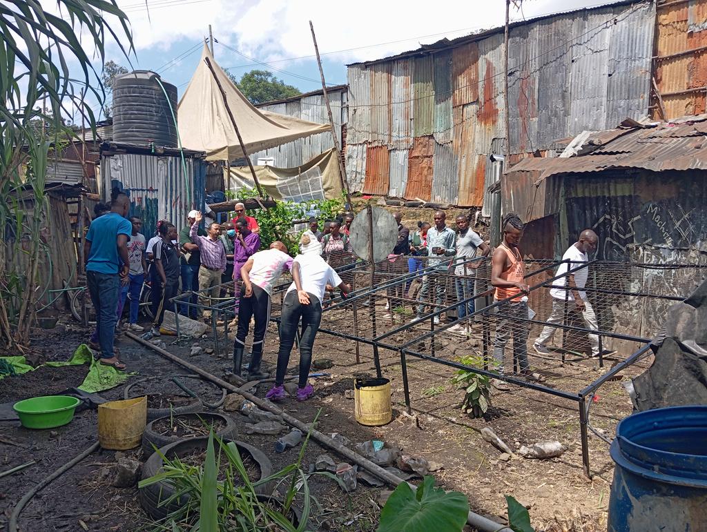 NjiruFeminists's tweet photo. 🌿 Exciting Times At Vision Bearerz YOUTH GROUP ! 🌿

Yesterday, we had the pleasure of collaborating with... https://t.co/ngg7TW6vmj

#growth4change #LandFoodandFreedom #foodispolitics  #Hydroponics #YouthEmpowerment #SustainableAgriculture https://t.co/iKQojMTJkm