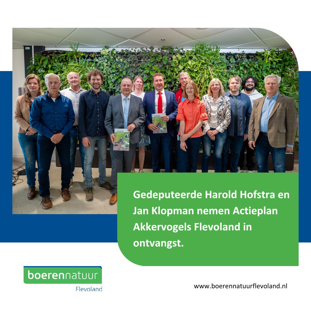 Vijftien organisaties hebben een Actieplan Akkervogels Flevoland 2024-2033 opgesteld, dat vandaag is overhandigd aan de Flevolands gedeputeerden Harold Hofstra en Jan Klopman > flevolandsagrarischcollectief.nl/overhandiging-…