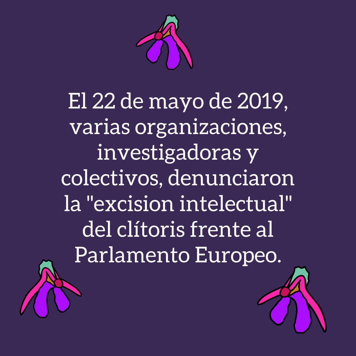 clitoralia's tweet photo. Hoy es el Día Internacional por el Autoconocimiento del Clítoris, Clitoris Awareness Day #ClitorisDay, este día se visibiliza al clítoris como un órgano del cuerpo humano y se reconocen todas las luchas que han hecho posible su divulgación. https://t.co/GraByT4dW9