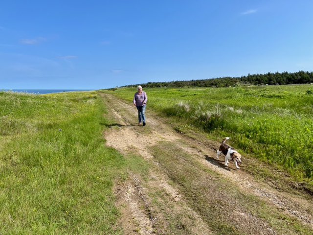 Jersey walking the Mrs. down the Old Mail Trail. She really likes coming here for her walks every morning and has the whole place to herself. Come on mom, hurry up will ya!