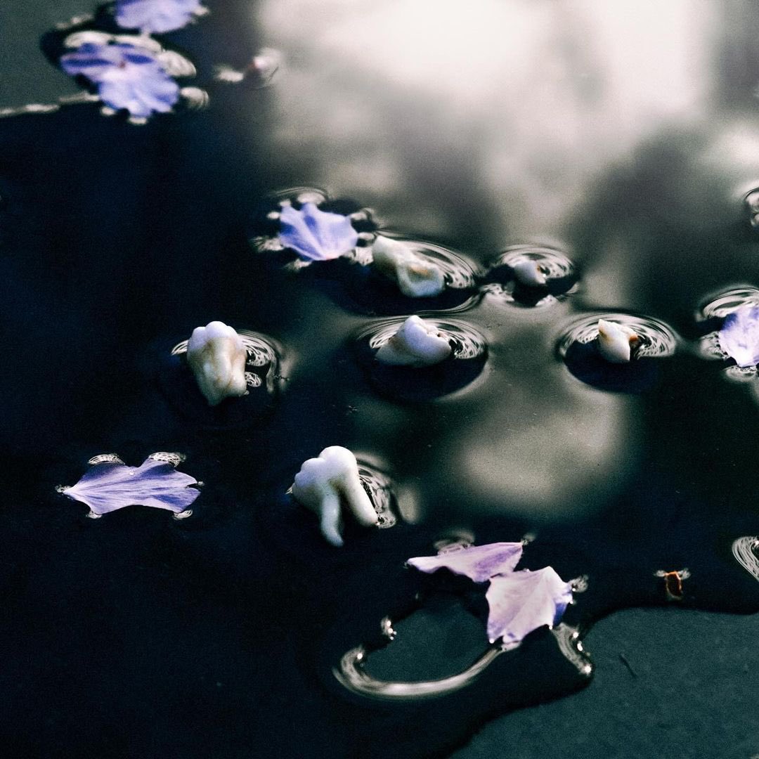 ๐ผ๐ป (@michaelbrailey_) on Twitter photo MICHAELBRAILEY & <a href="/zulimusic/">ZULI (all caps; not Zuli)</a>
10000 (Papercuts, Pt. 1)
Syzygy
two tracks releasing as part of ZULIโs album โLambdaโ via <a href="/subtextrecords/">Subtext Recordings</a>. โ10000 (Papercuts, Pt. 1)โ available to listen now, โSyzygyโ releasing 5th July.
zulimusic.bandcamp.com/album/lambda MICHAELBRAILEY & <a href="/zulimusic/">ZULI (all caps; not Zuli)</a>
10000 (Papercuts, Pt. 1)
Syzygy
two tracks releasing as part of ZULIโs album โLambdaโ via <a href="/subtextrecords/">Subtext Recordings</a>. โ10000 (Papercuts, Pt. 1)โ available to listen now, โSyzygyโ releasing 5th July.
zulimusic.bandcamp.com/album/lambda