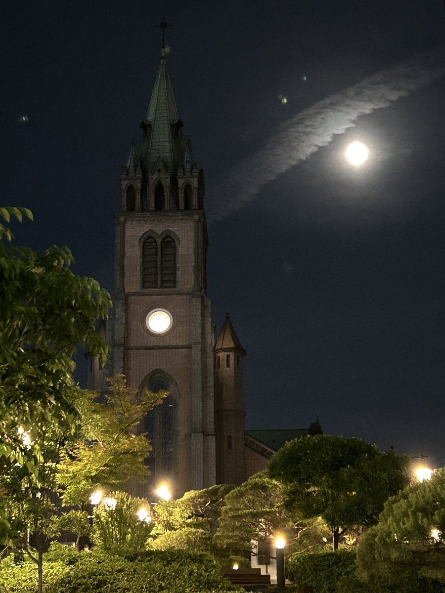 명동의 밤을 수백 일 보았지만 천사의 날개 같은 오늘 구름은