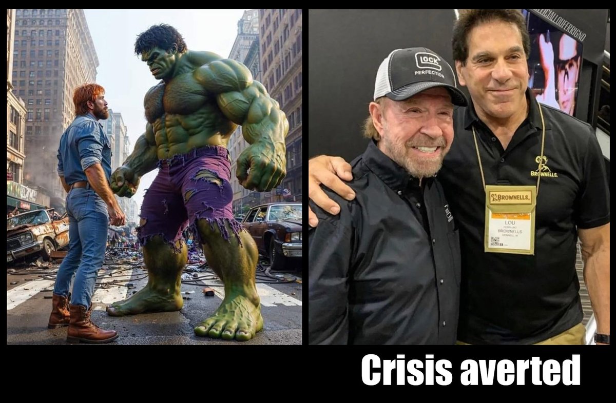 'Crisis averted' Chuck Norris & The Hulk (Lou Ferrigno)