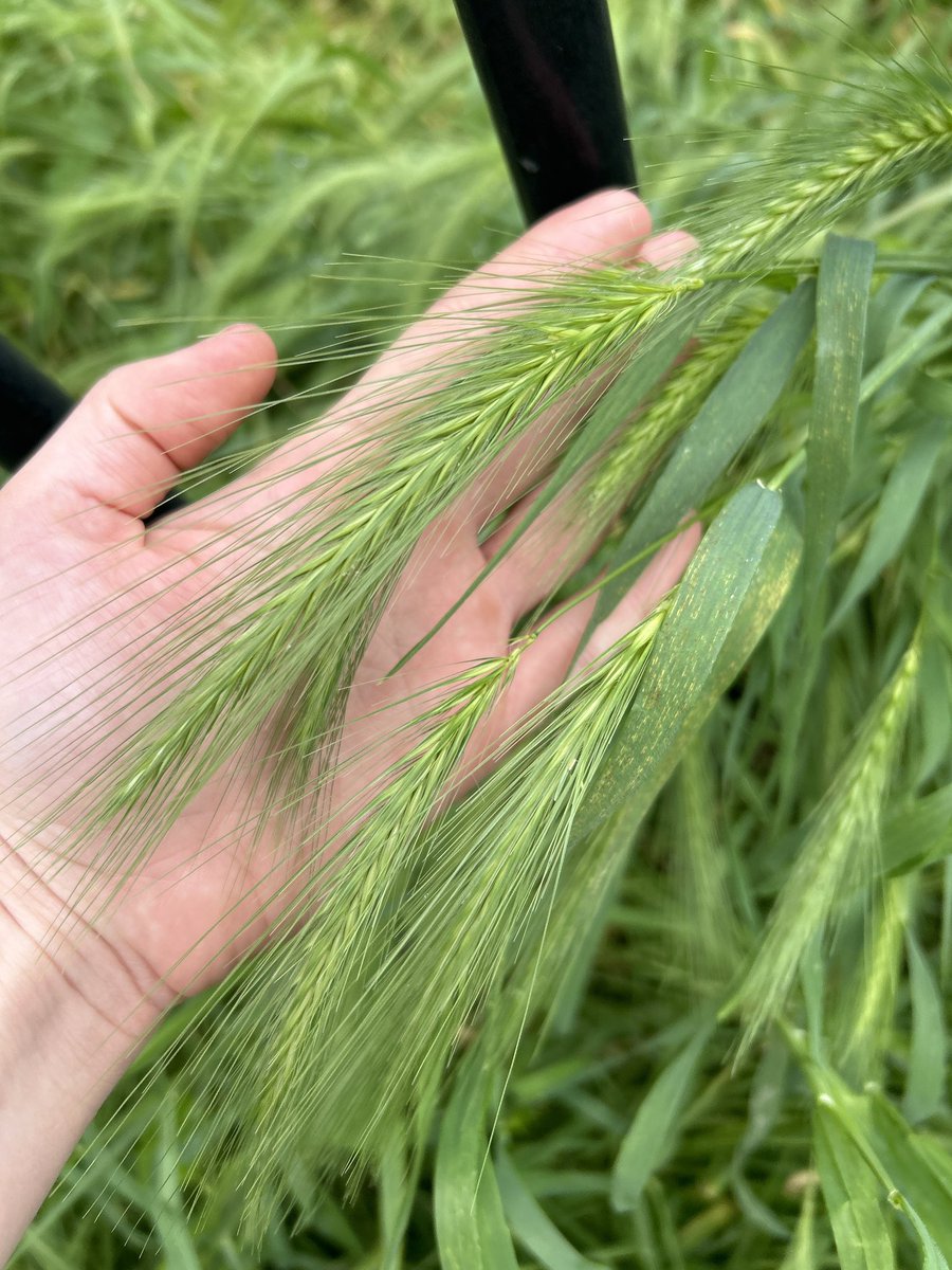 Marjolein Moeijes tweet media